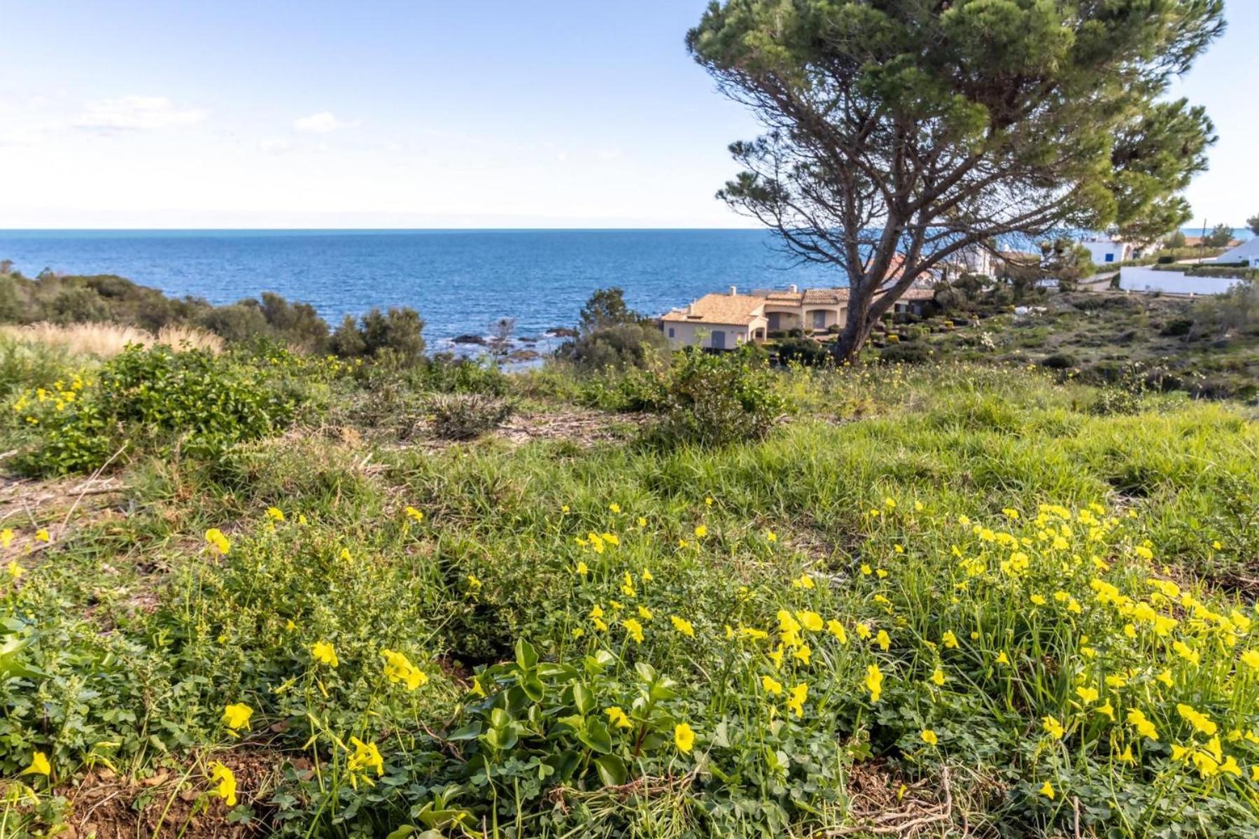 Appartement Port De La Selva 94 Con Amplio Jardin